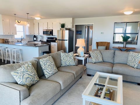Living and Kitchen Area