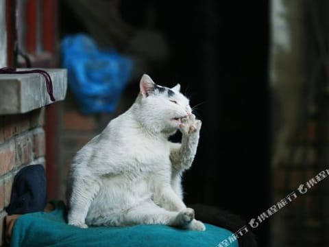 Fitness & Recreational Facilities