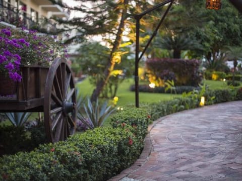 Property view