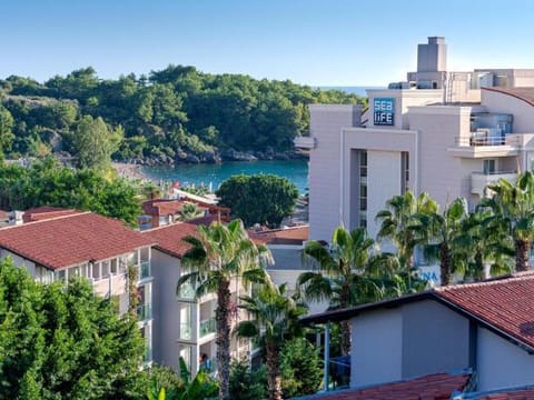Property view