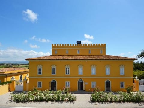 Property view