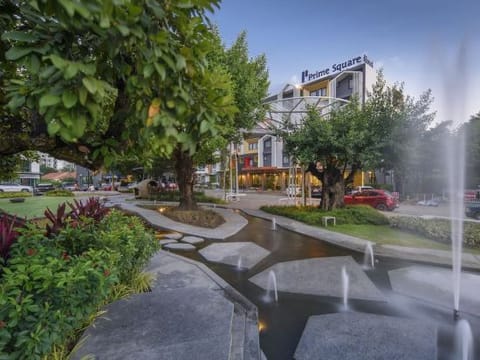 Property view