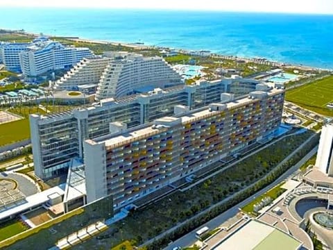 Property view