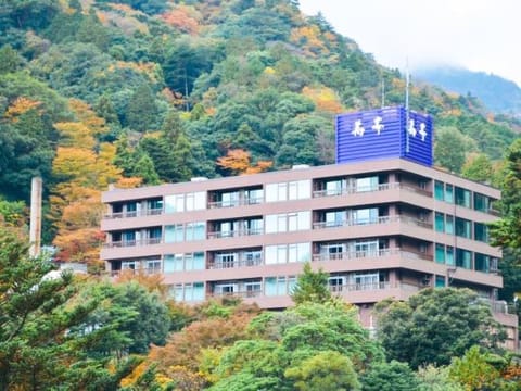 Property view