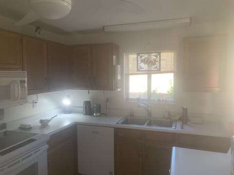 Citrus garden - kitchen