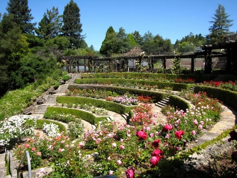 Stroll through blooming gardens and savor peaceful, colorful surroundings.