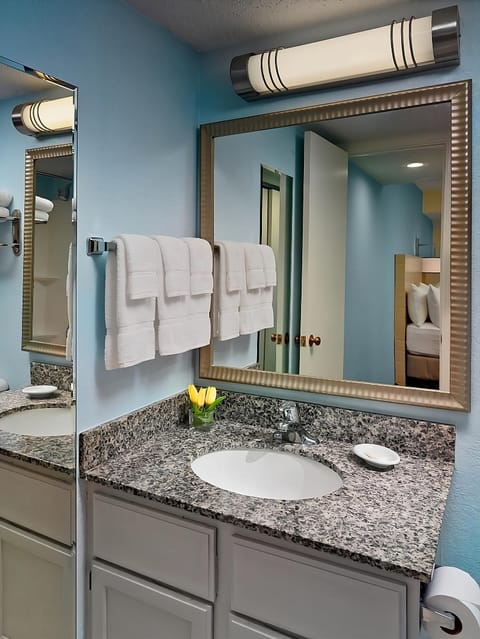 Full bathroom with a shower. Basic toiletries and towels are provided