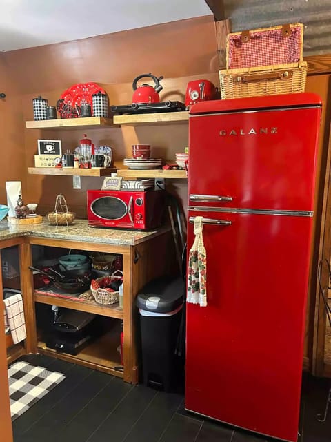 There is also a retro pizza/convection oven not pictured.