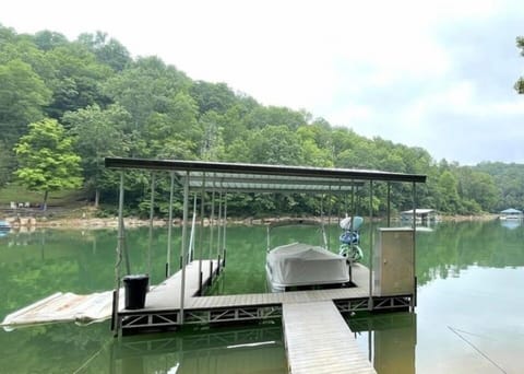 Covered dock with swimming ladder and jet ski port. 