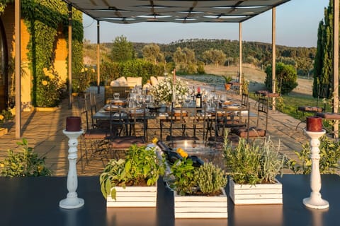 Balcony / Terrace / Patio, Outdoor