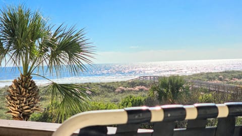 Your View
