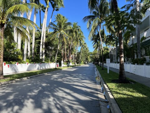 View down this home's beautiful street - tropical landscaping - THIS is Key West