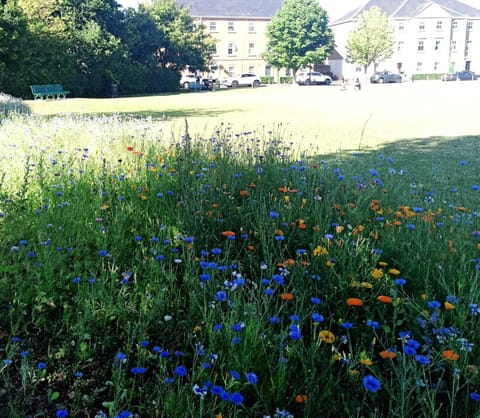 Views from the park opposite the property.