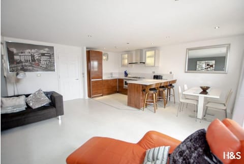 Livingroom and kitchen area. 