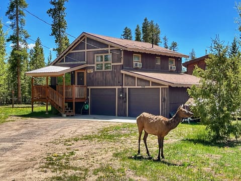 Driveway and frontside of the cabin