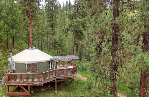 The yurt is surrounded with trees yet has great views of the mountains.