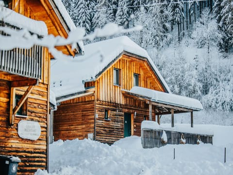 Holiday Home Exterior [winter]