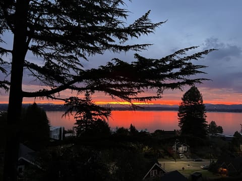 View from deck
