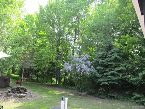 Back/side yard