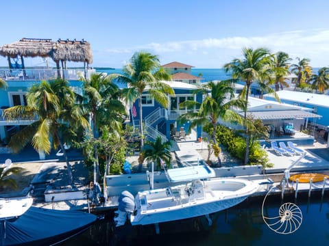 Welcome to Little Miss Muffett