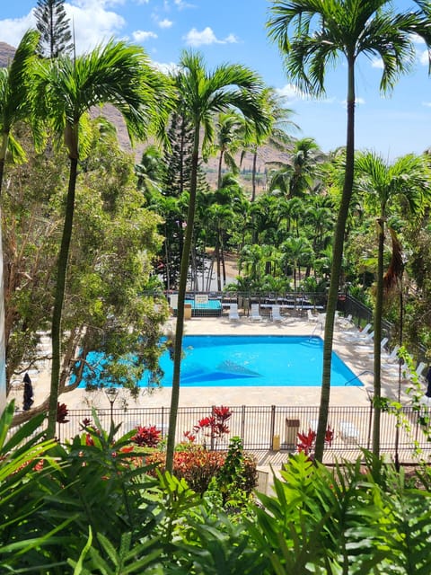 Large, clean salt water pool to relax and cool down