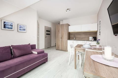 Another angle of the living space, showcasing a kitchen, sofa, and wall-mounted TV.

