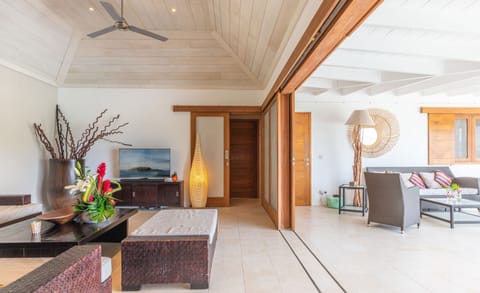 Air conditioning, HD-TV, Canal Satellite in the TV room. Great room with ceiling fan opening onto the terrace. Ocean view. 