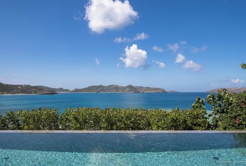 Infinity edge swimming pool, sunbeds, deckchairs, Gas barbecue.