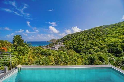 Nice pool surrounded by a terrace with 4 lounge chairs. Outdoor Shower, WiFi.