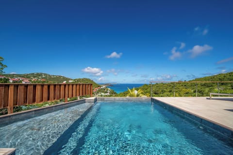 Pool with steps, lounge, gas barbecue,deck chairs. 