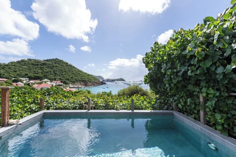 Nice pool, terrace with deck chairs and loungers. Beautiful views over the bay. 