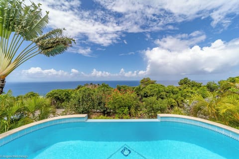 Beautiful pool facing the view, surrounded by a spacious terrace with lounge area. Outside shower. 