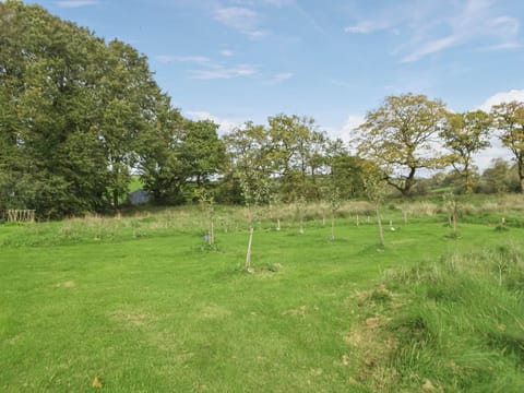 Surrounding area | Cwtch Wrth Plas - Plas Cottages, Talgarreg