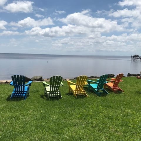 View from Roost on the Neuse
