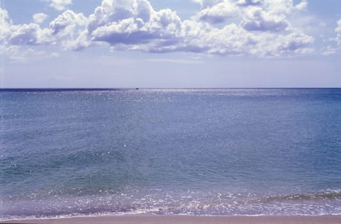 View of the Gulf of Mexico right in front of the beach access.