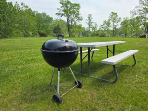 This big yard good for a cookout. Soccer balls, frisbees, footballs are inside. 