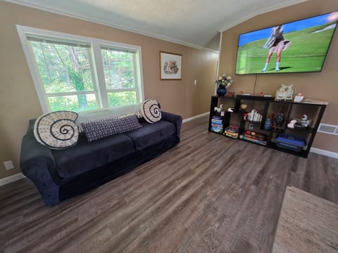 This Living Room has a arcade council that has more then 1000 games on it. 