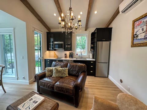 Living room and kitchen