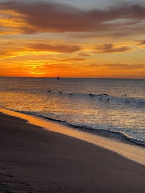 Easy 3 minute walk to the breathtaking Sea of Cortez views and sandy beaches