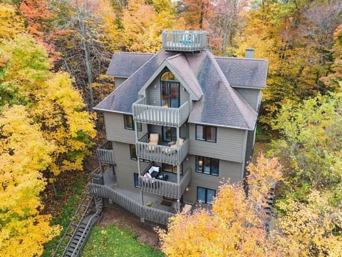 Welcome to Bird's Eye View!