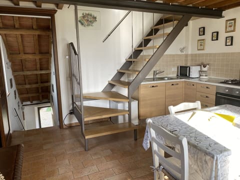 Autumn, Kitchen, Living Room, Spring, Summer