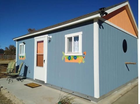 Welcome to the Birdhouse in Texas!