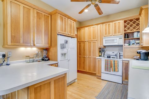 Kitchen | Basic Cooking Essentials | Blender