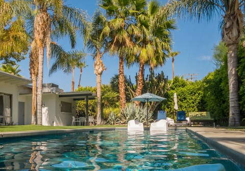 Private pool with in-water loungers, palms, and relaxed desert vibes