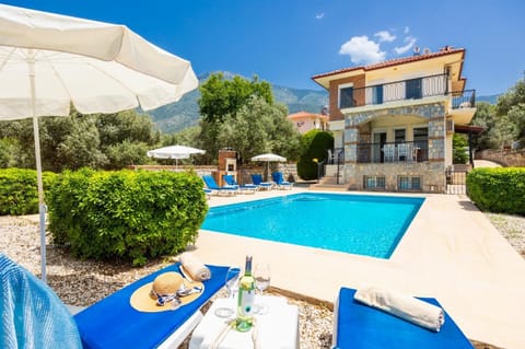 Beautiful villa with private pool and terrace