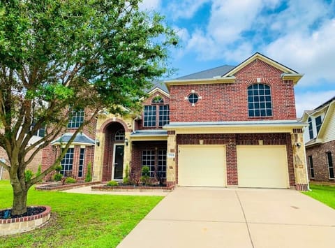 Front yard and driveway 