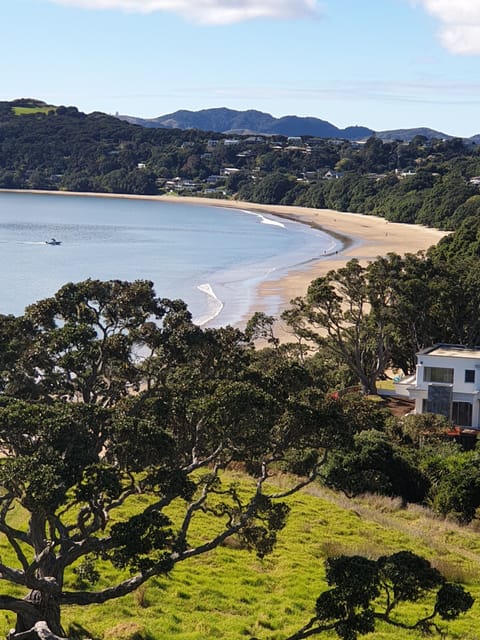 Coopers Beach from the walking track