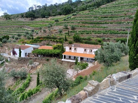 A Quinta da Salgueira