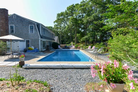 Pool and back of house (fenced in yard) 