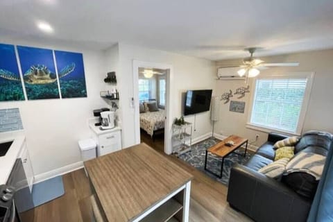 Inside Main Room 1 bed and pullout couch in downtown stuart florida